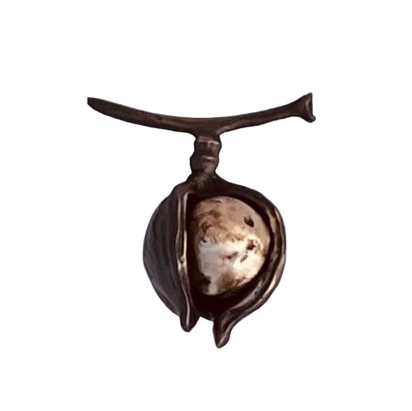 Spinning Macadamia Nut | Cast Bronze