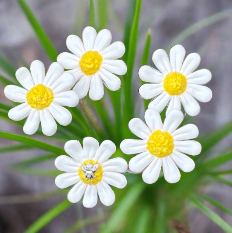 Ceramic Daisies | Box Of 5