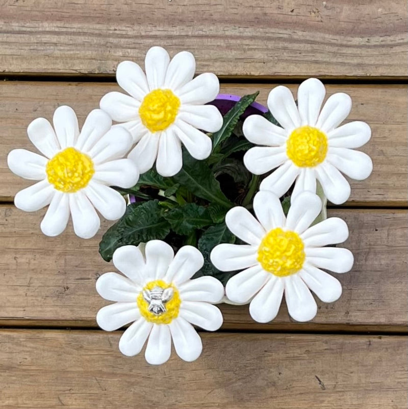 Ceramic Daisies | Box Of 5