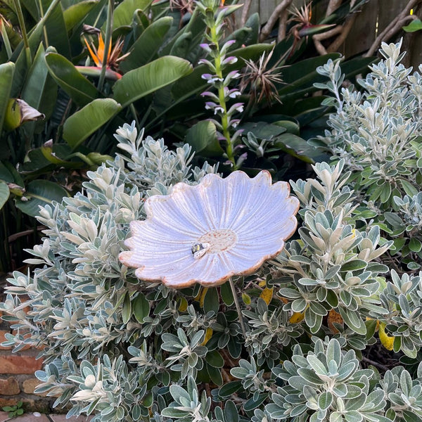 Daisy Bird Bath With Bee