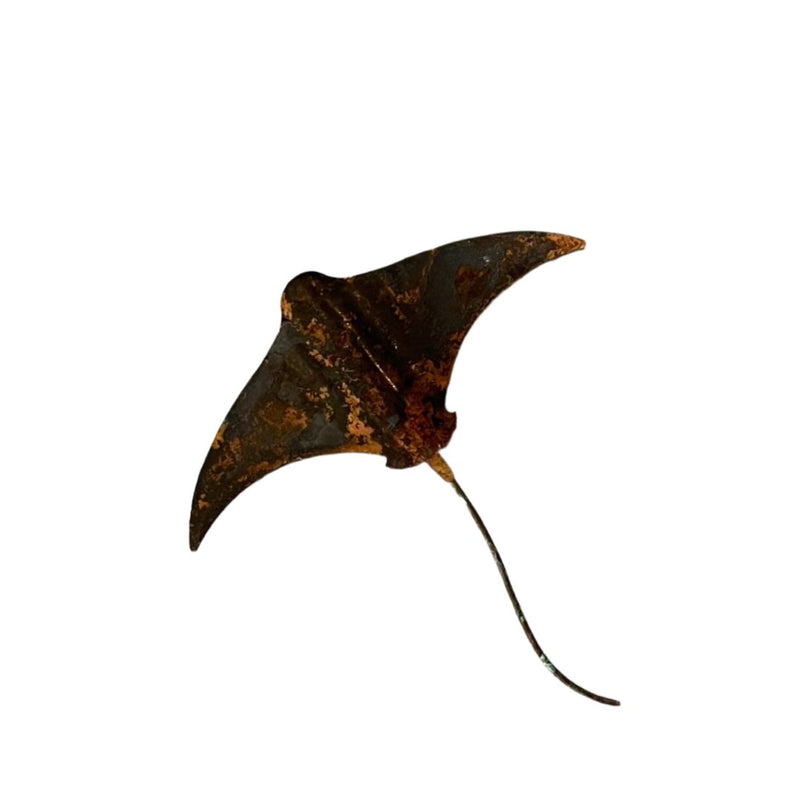 Individual Copper Stingrays