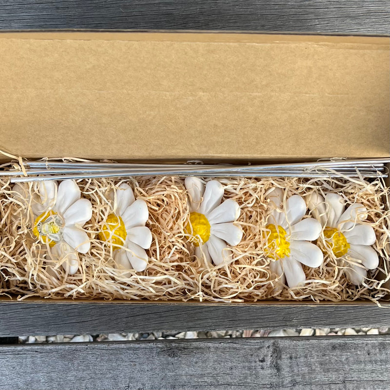 Ceramic Daisies | Box Of 5