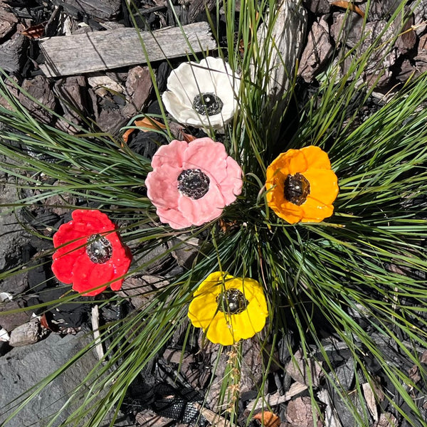 Ceramic Poppies Colourful Mix | Box Of 5