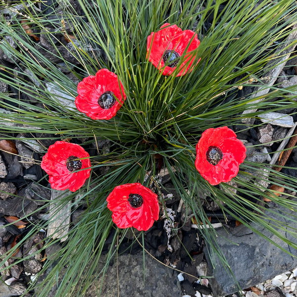 Ceramic Red Poppies | Box Of 5