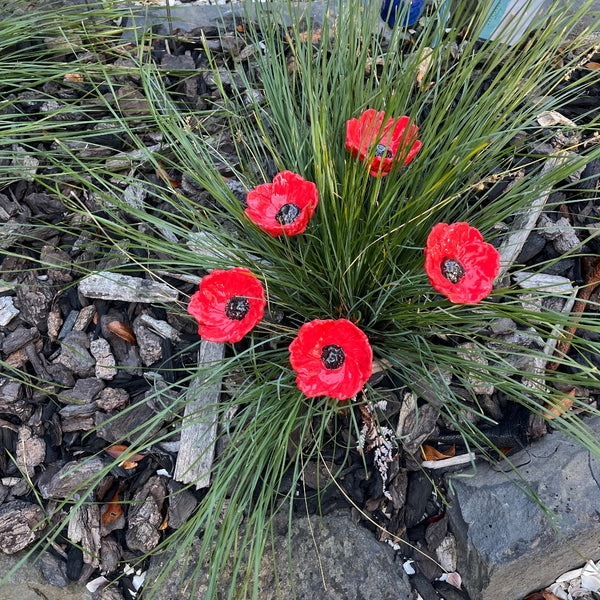 Ceramic Red Poppies | Box Of 5