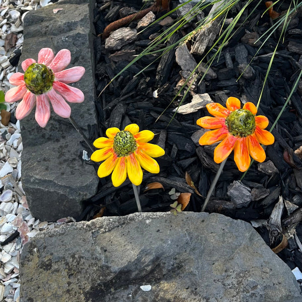 Ceramic Echinacea | Single Flower