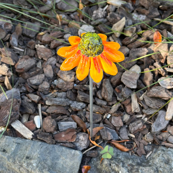 Ceramic Echinacea | Single Flower