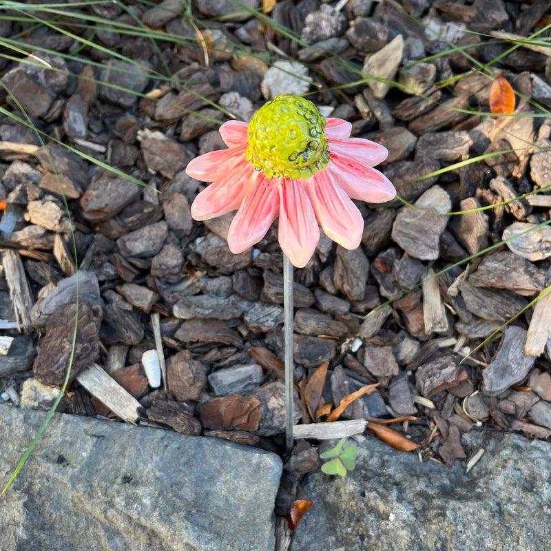 Ceramic Echinacea | Single Flower