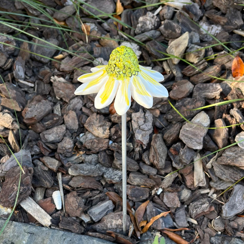 Ceramic Echinacea | Single Flower