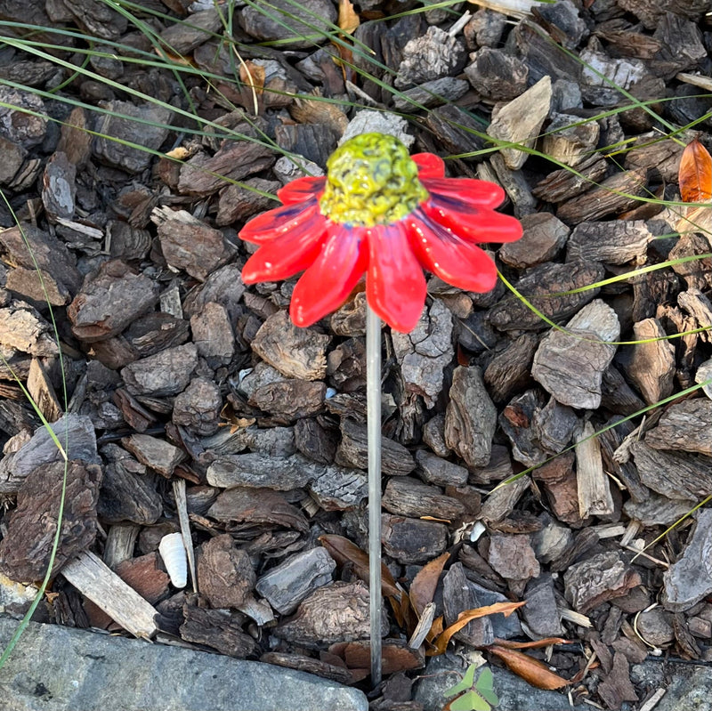 Ceramic Echinacea | Single Flower