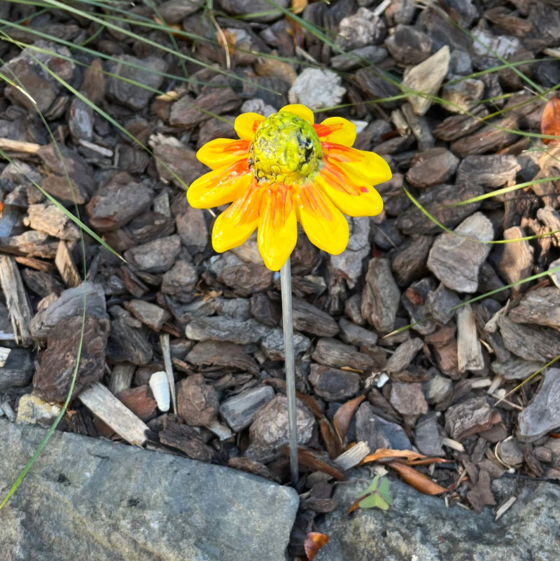 Ceramic Echinacea | Single Flower