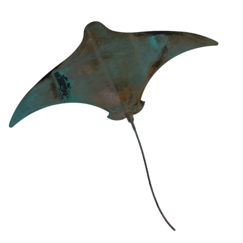 Individual Copper Stingrays