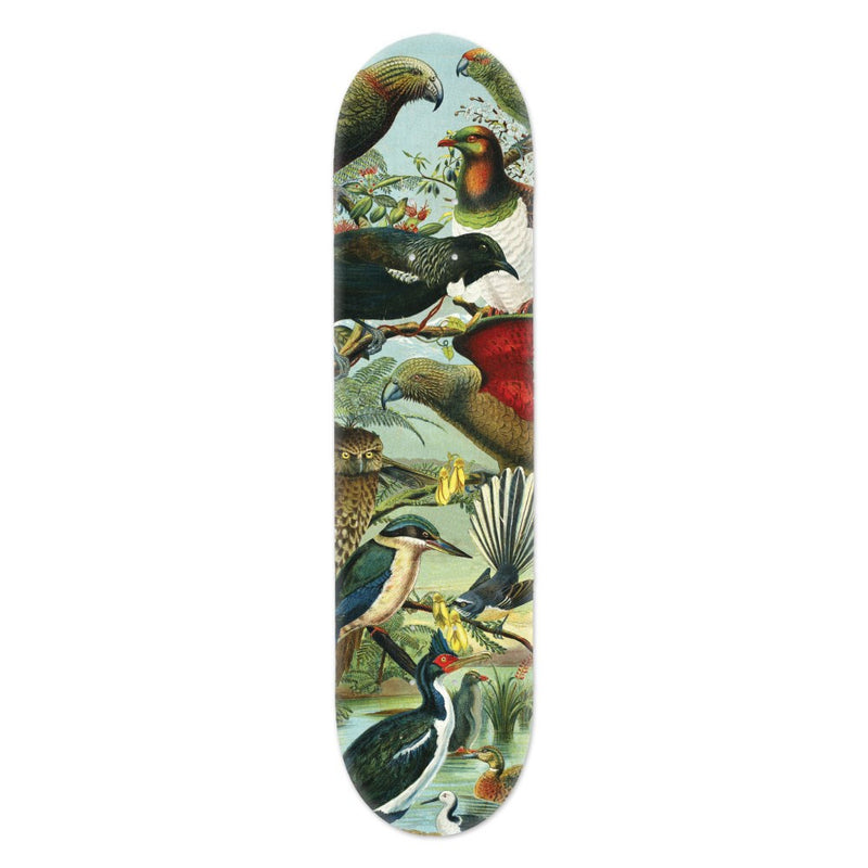 Skate Board Deck | NZ Native Birds