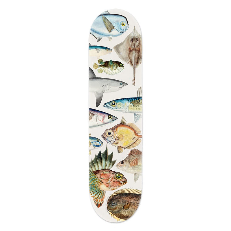 Skate Board Deck | Fishes Of New Zealand